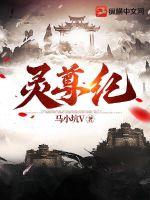灵尊纪